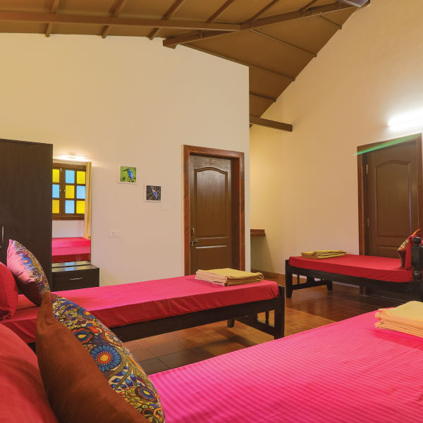 shared accomodation